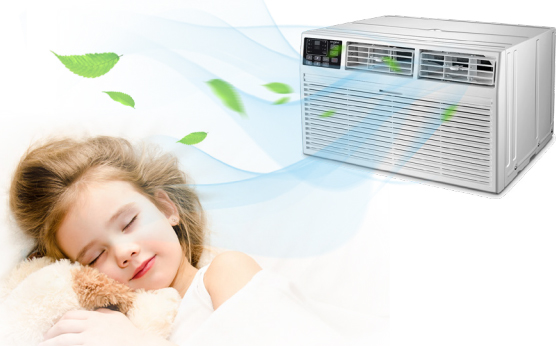 Window Air-con Smart Sleep Mod